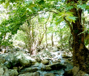 Sirikari Gorge